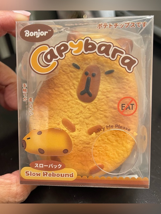 Binjor Other - Capybara Slow Rebound Squishy. Stress Relief Toy.